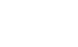 Santos Telecom